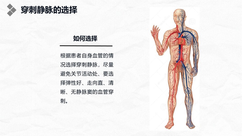 浅静脉留置针应用与维护PPT课件9