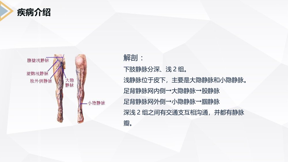 下肢静脉曲张的护理查房PPT课件4