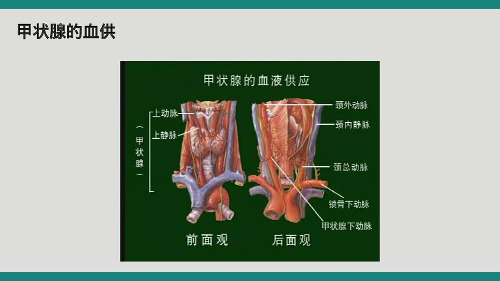 甲状腺术后病人护理查房PPT课件5