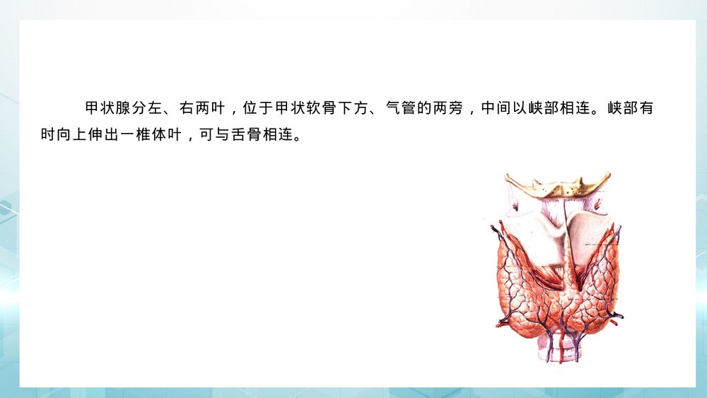 甲状腺癌病人术后护理健康指导PPT课件4