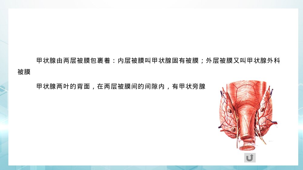 甲状腺癌病人术后护理健康指导PPT课件5