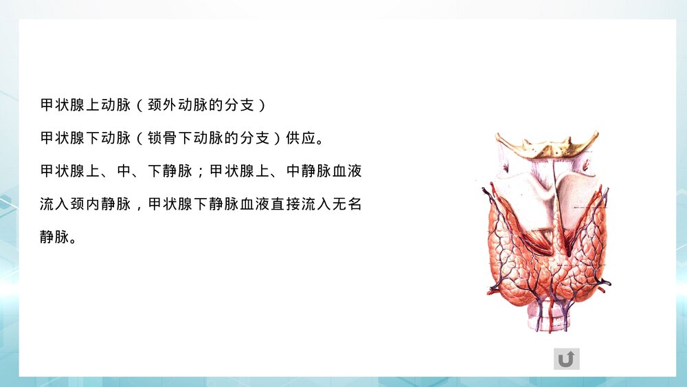 甲状腺癌病人术后护理健康指导PPT课件6