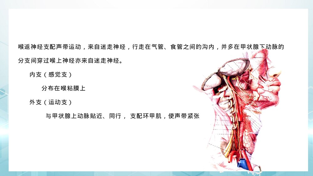 甲状腺癌病人术后护理健康指导PPT课件7