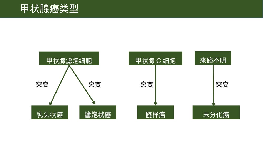 甲状腺癌术后饮食护理PPT课件3