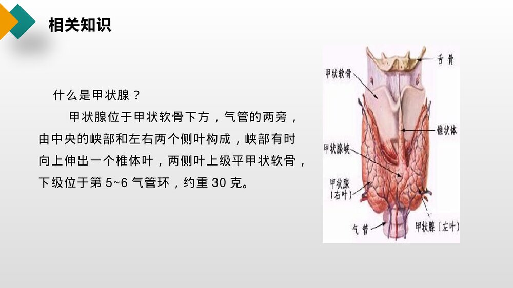 甲状腺结节护理查房健康教育PPT课件4