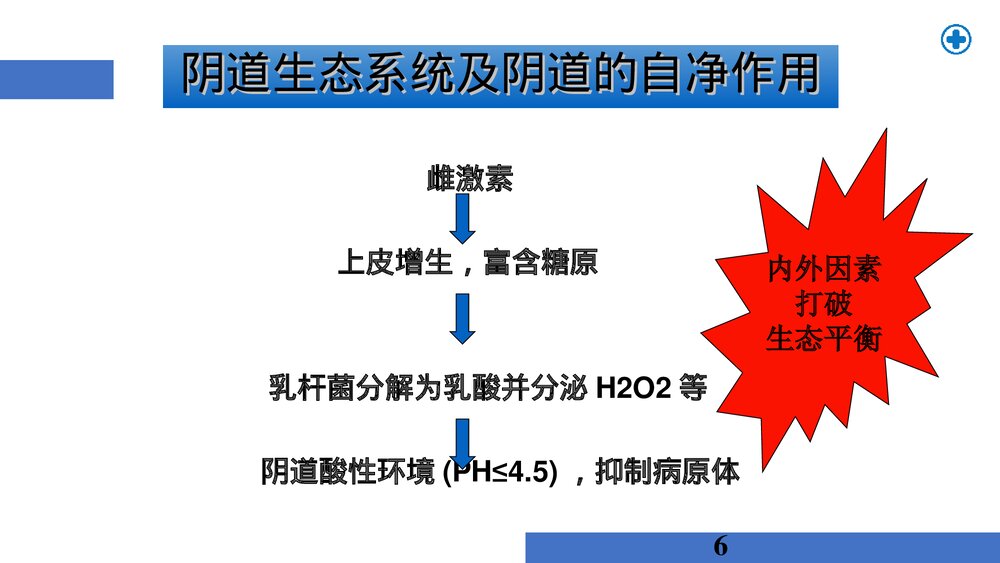外阴炎及前庭大腺炎PPT课件6