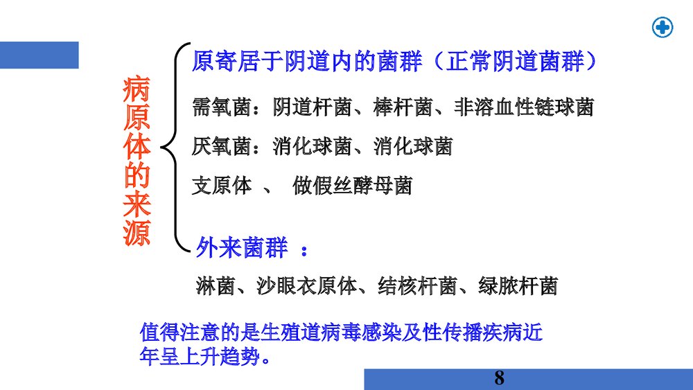 外阴炎及前庭大腺炎PPT课件8