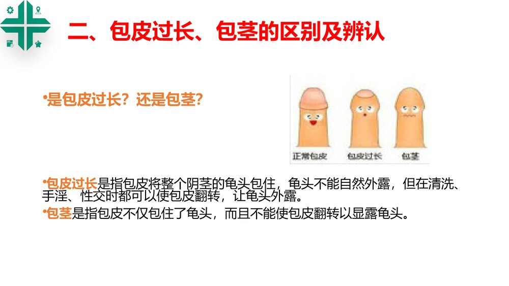 包皮包茎课件PPT课件9