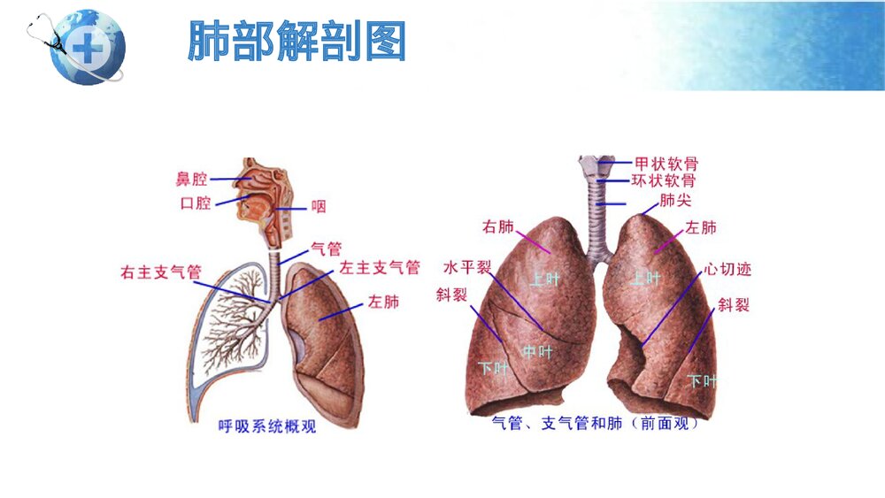 呼吸衰竭患者的护理查房PPT课件9