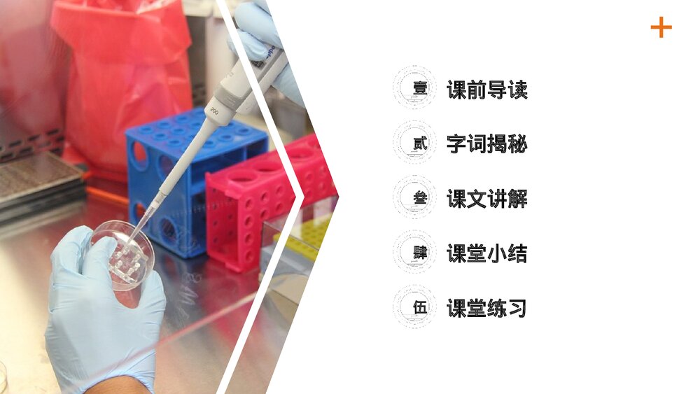 小学三年级语文下册第四单元《习作 我做了一项小实验》PPT教学课件2