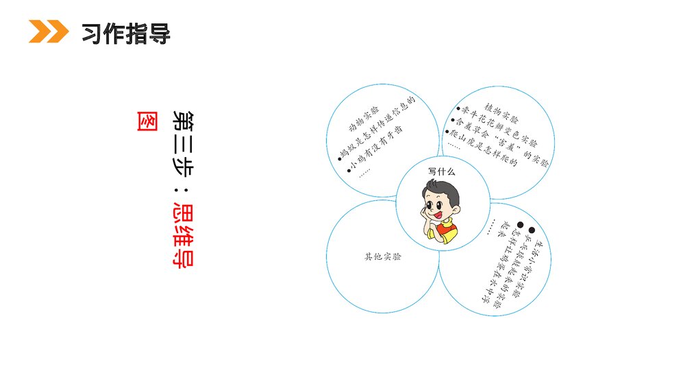 小学三年级语文下册第四单元《习作 我做了一项小实验》PPT教学课件9