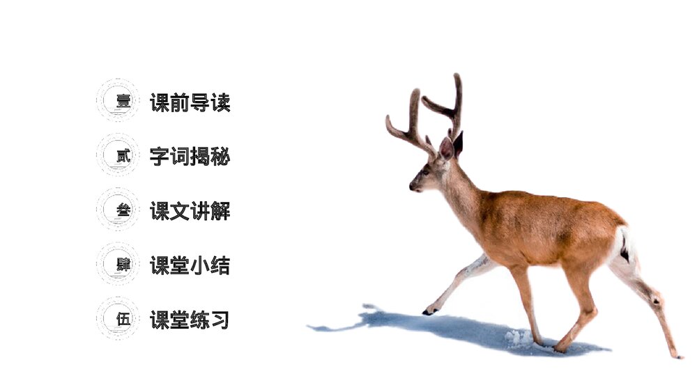 小学三年级语文下册《鹿角和鹿腿》PPT教学课件2