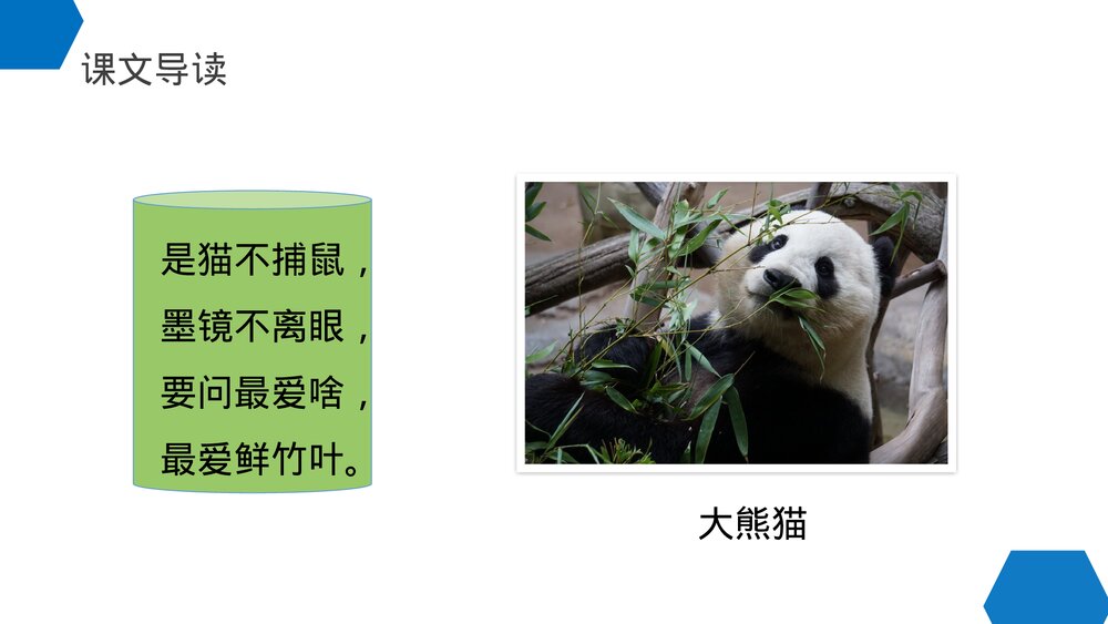 小学三年级语文下册第七单元《国宝大熊猫》PPT教学课件2
