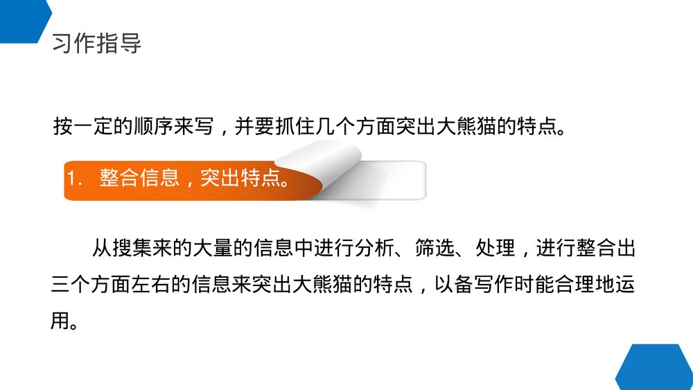 小学三年级语文下册第七单元《国宝大熊猫》PPT教学课件9