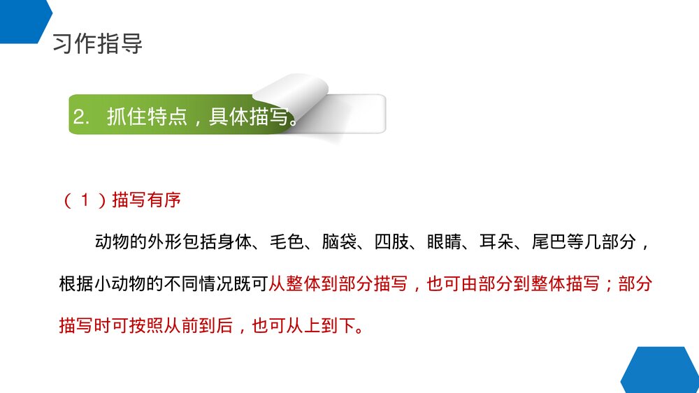 小学三年级语文下册第七单元《国宝大熊猫》PPT教学课件10