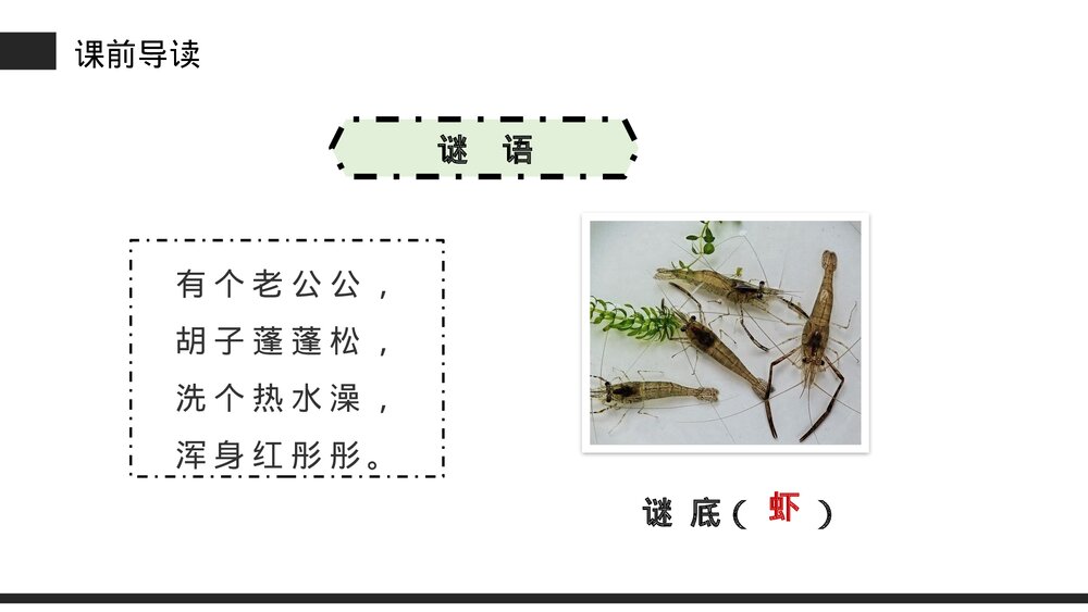 小学三年级语文下册第四单元《小虾》PPT教学课件3