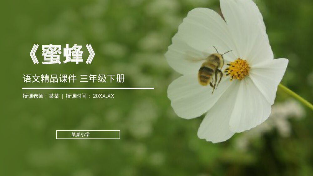 小学三年级语文下册第四单元《蜜蜂》PPT教学课件1