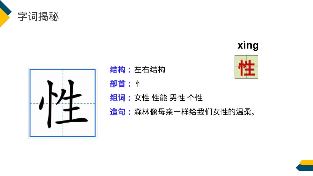 小学三年级语文下册第八单元《慢性子裁缝和急性子顾客》PPT教学课件9