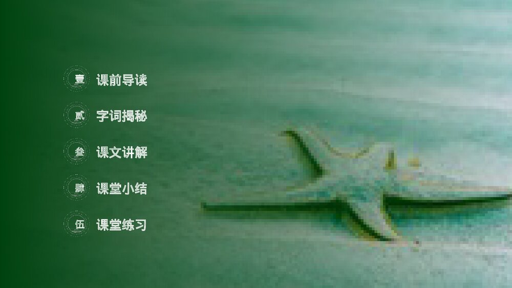 小学三年级语文下册第七单元《海底世界》PPT教学课件2