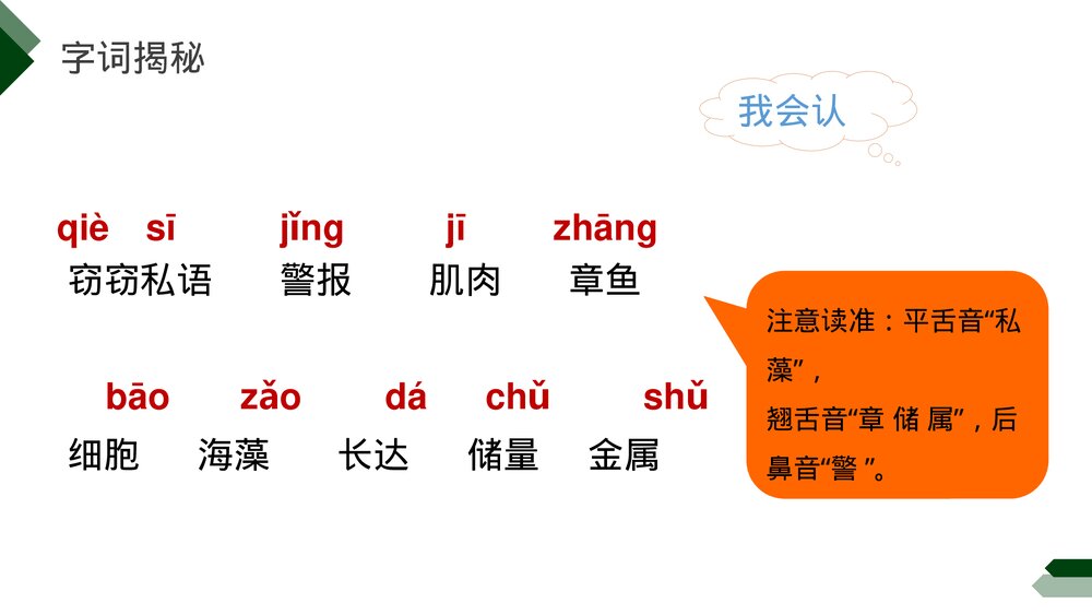 小学三年级语文下册第七单元《海底世界》PPT教学课件7