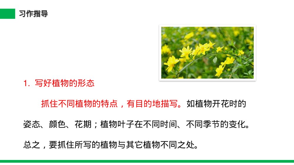 小学三年级语文下册第一单元《习作——我的植物朋友》PPT教学课件6