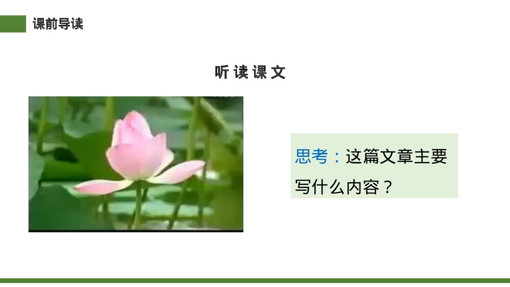 小学三年级语文下册第一单元《荷花》PPT教学课件6