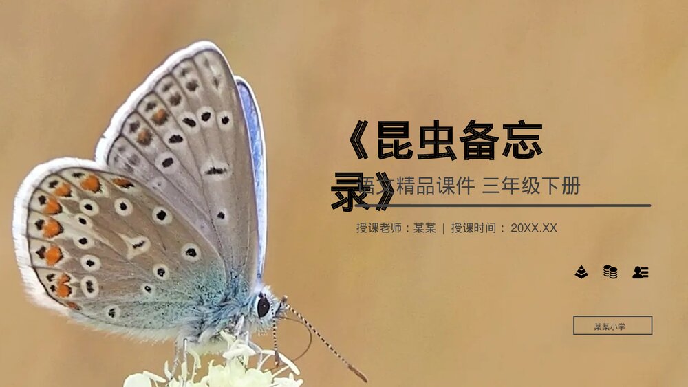 小学三年级语文下册第一单元《昆虫备忘录》PPT教学课件1
