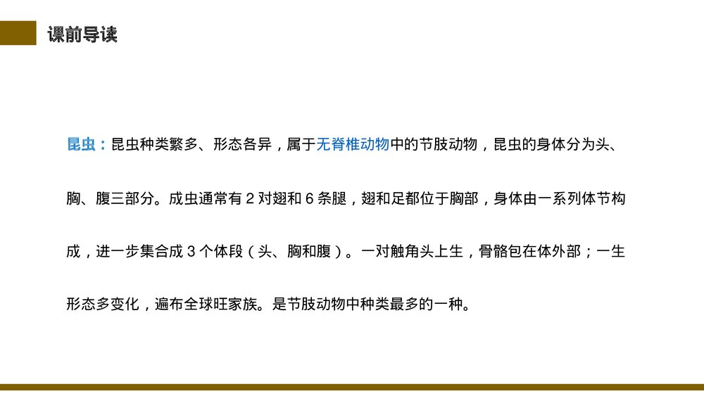 小学三年级语文下册第一单元《昆虫备忘录》PPT教学课件4
