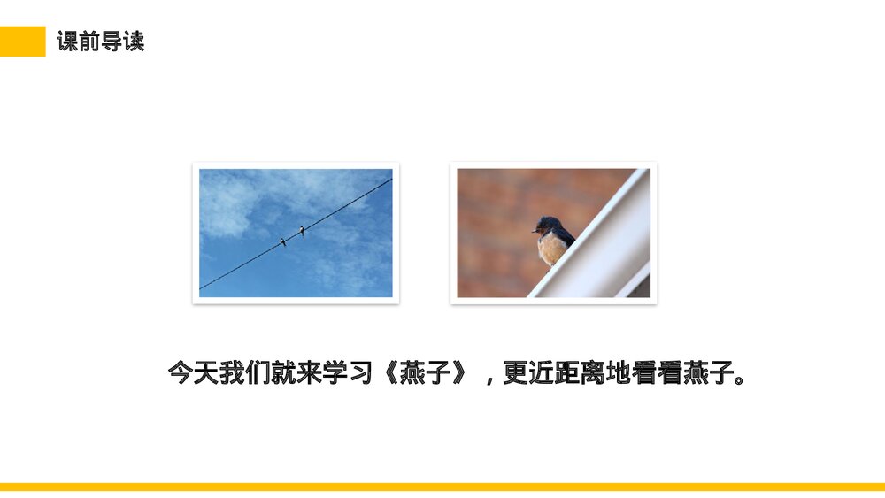 小学三年级语文下册第一单元《燕子》PPT教学课件5