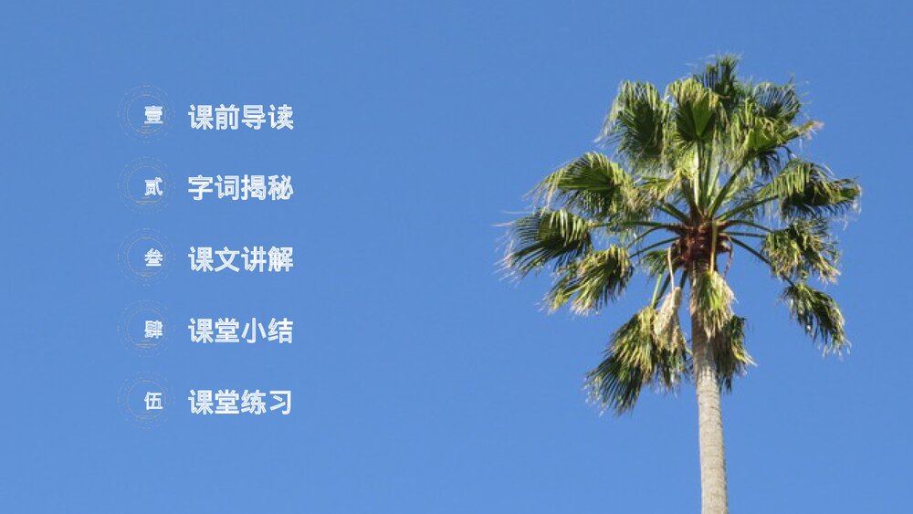 小学三年级语文下册第五单元《我变成了一棵树》PPT教学课件2