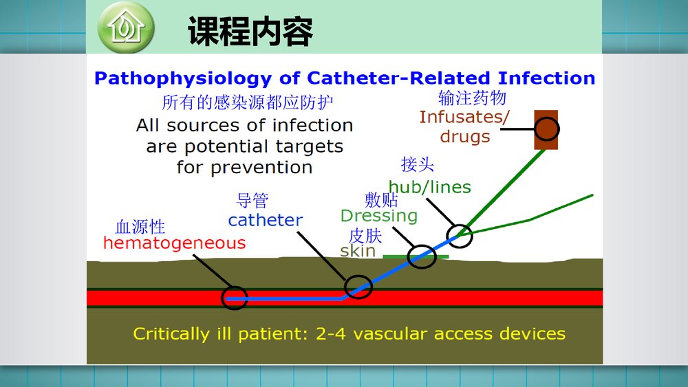 三向瓣膜式PICC维护流程PPT课件5
