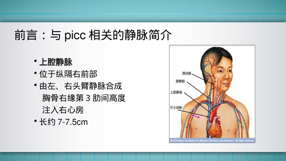 成人PICC置管流程PPT课件3