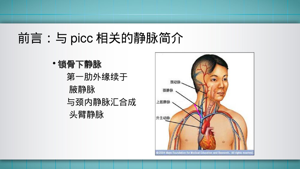 成人PICC置管流程PPT课件4