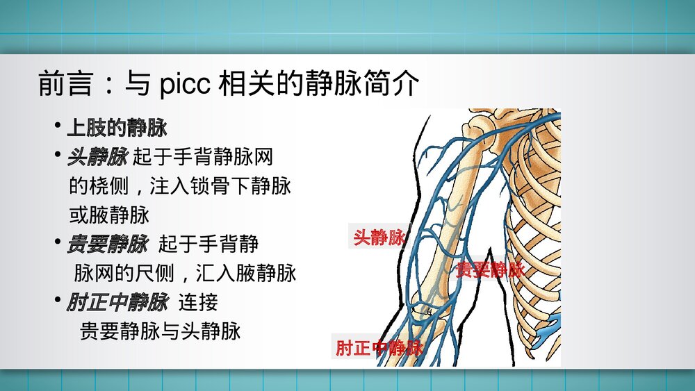 成人PICC置管流程PPT课件6