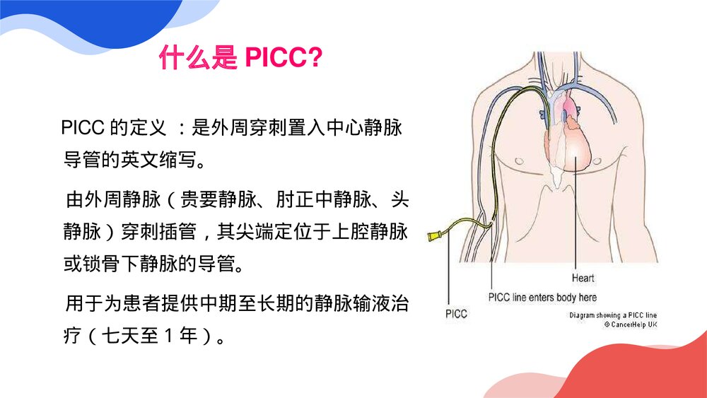 PICC护理优质ppt课件3