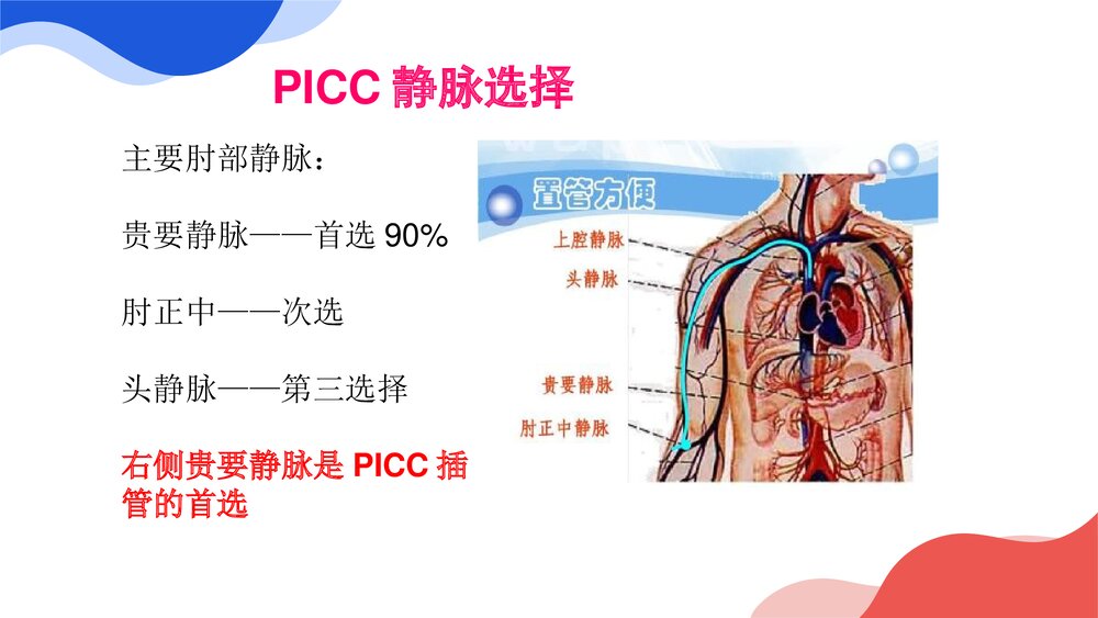 PICC护理优质ppt课件7