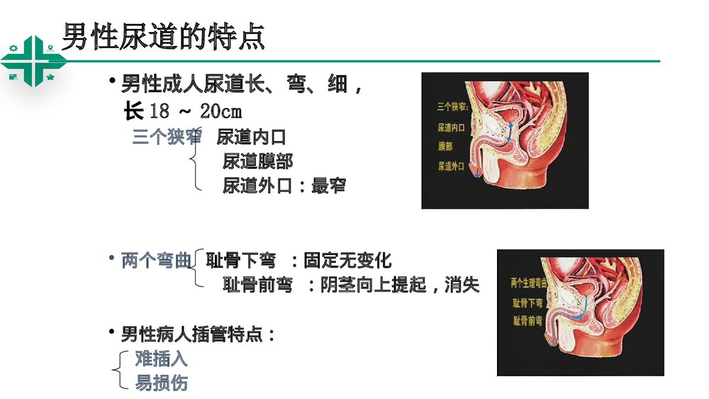 留置导尿技术操作ppt课件4