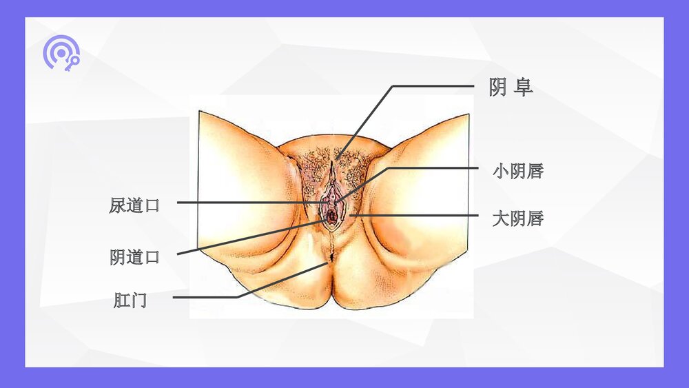 导尿术的操作流程及并发症处理ppt6