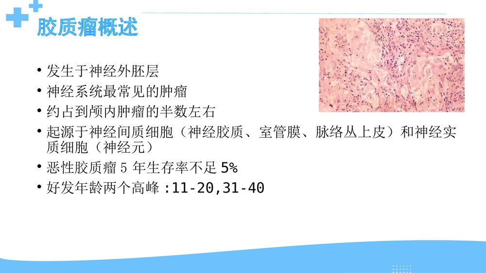 胶质瘤切除范围PPT课件 胶质瘤的综合治疗5