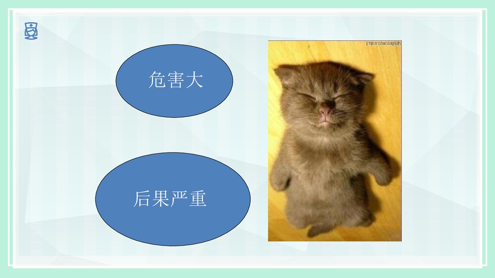 疤痕妊娠的护理PPT课件8