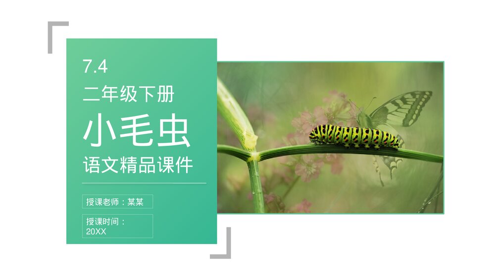 小学二年级语文下册《小毛虫》(第7.4课时)PPT精品课件1