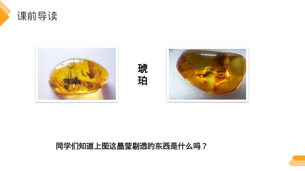 人教版《琥珀》四年级语文下册PPT精品课件3