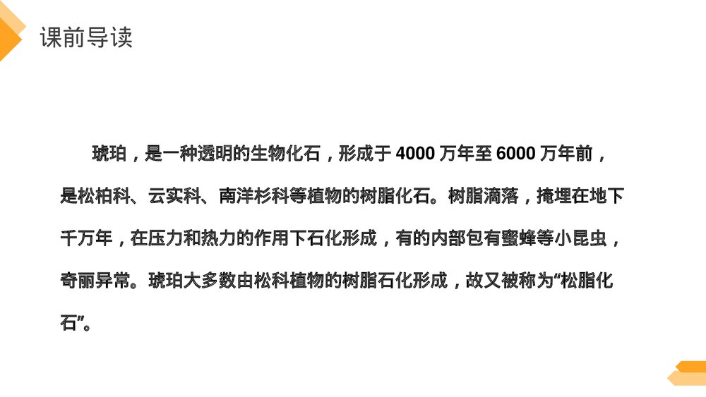 人教版《琥珀》四年级语文下册PPT精品课件4