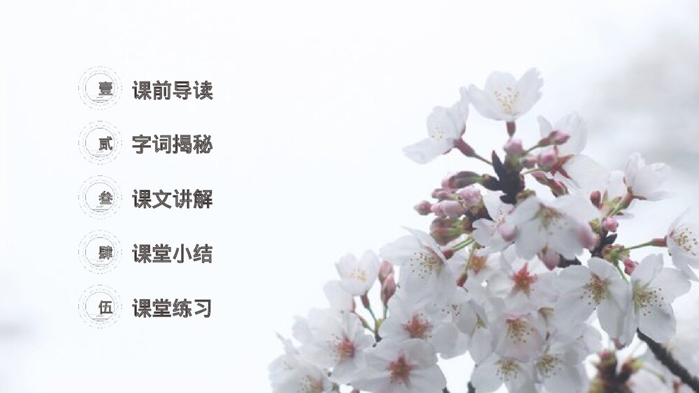 人教版《三月桃花水》四年级语文下册PPT精品课件2