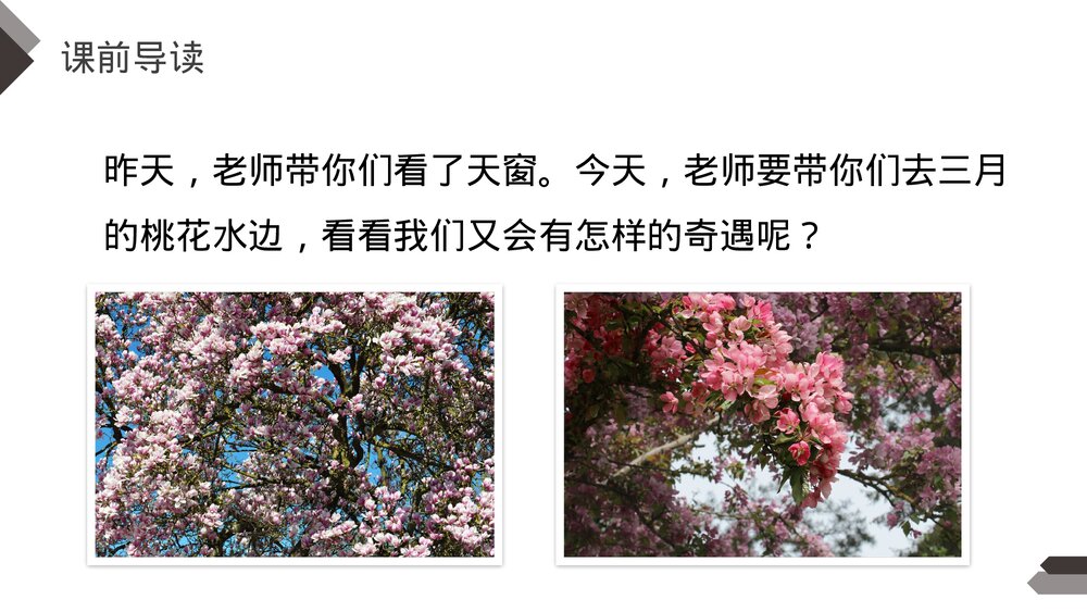 人教版《三月桃花水》四年级语文下册PPT精品课件3