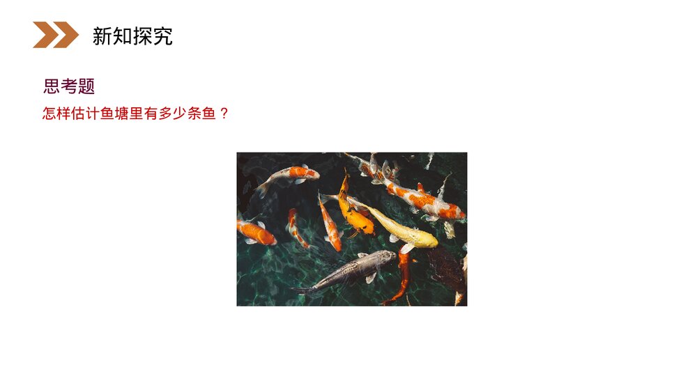 人教版高中数学必修三《简单随机抽样·统计》(第2.1.1课时)PPT课件7