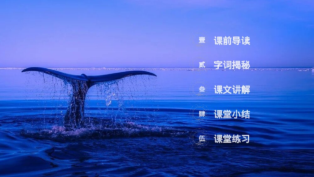 人教版《海的女儿》四年级语文下册PPT精品课件2