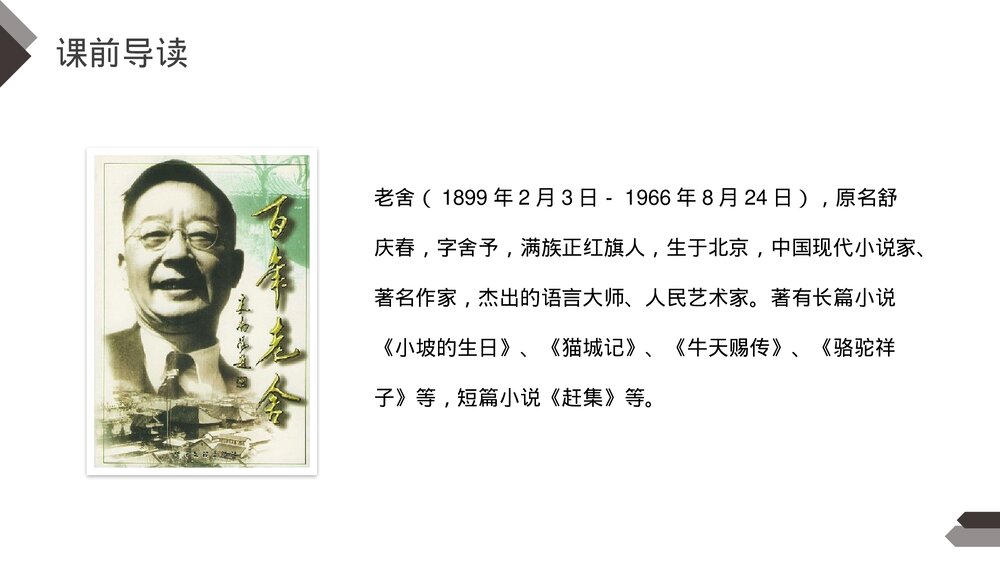 人教版《母鸡》四年级语文下册PPT精品课件4