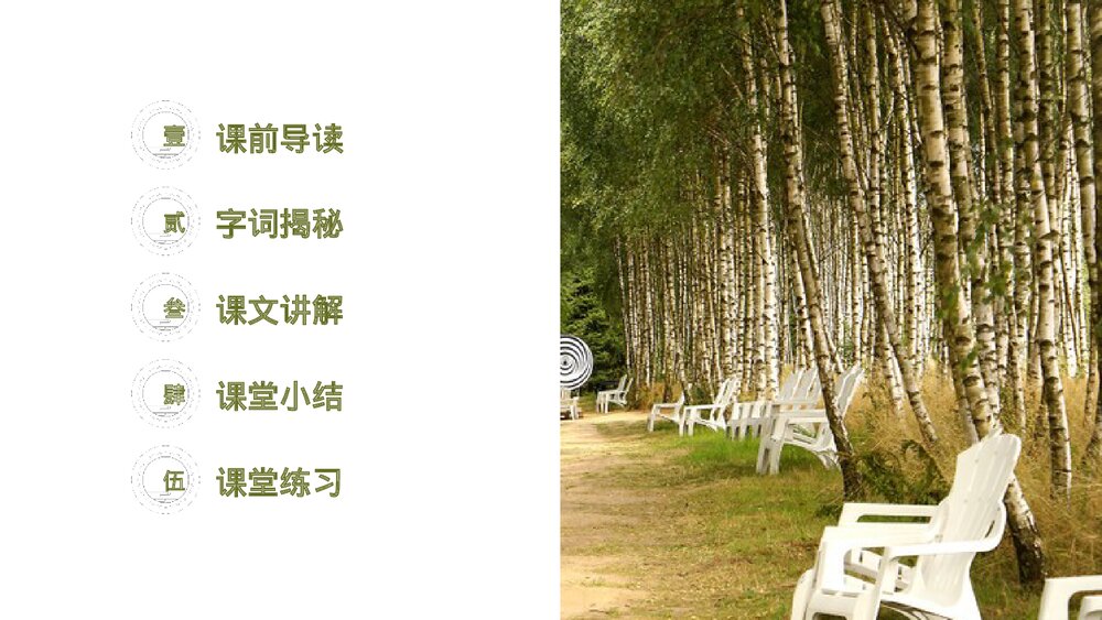 人教版《白桦》四年级语文下册PPT精品课件2