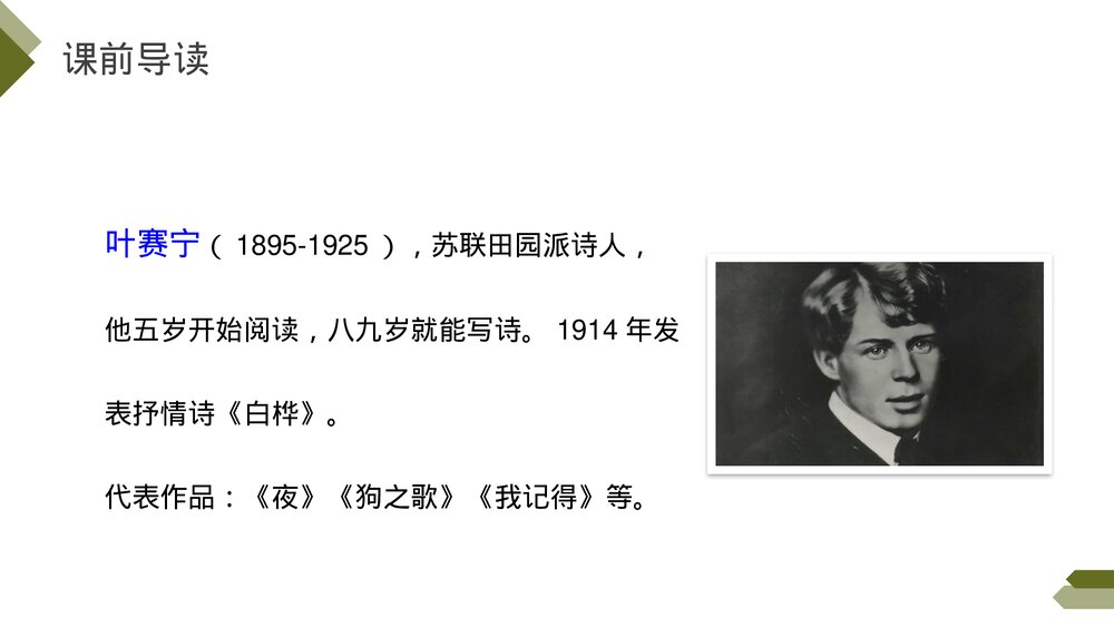 人教版《白桦》四年级语文下册PPT精品课件4